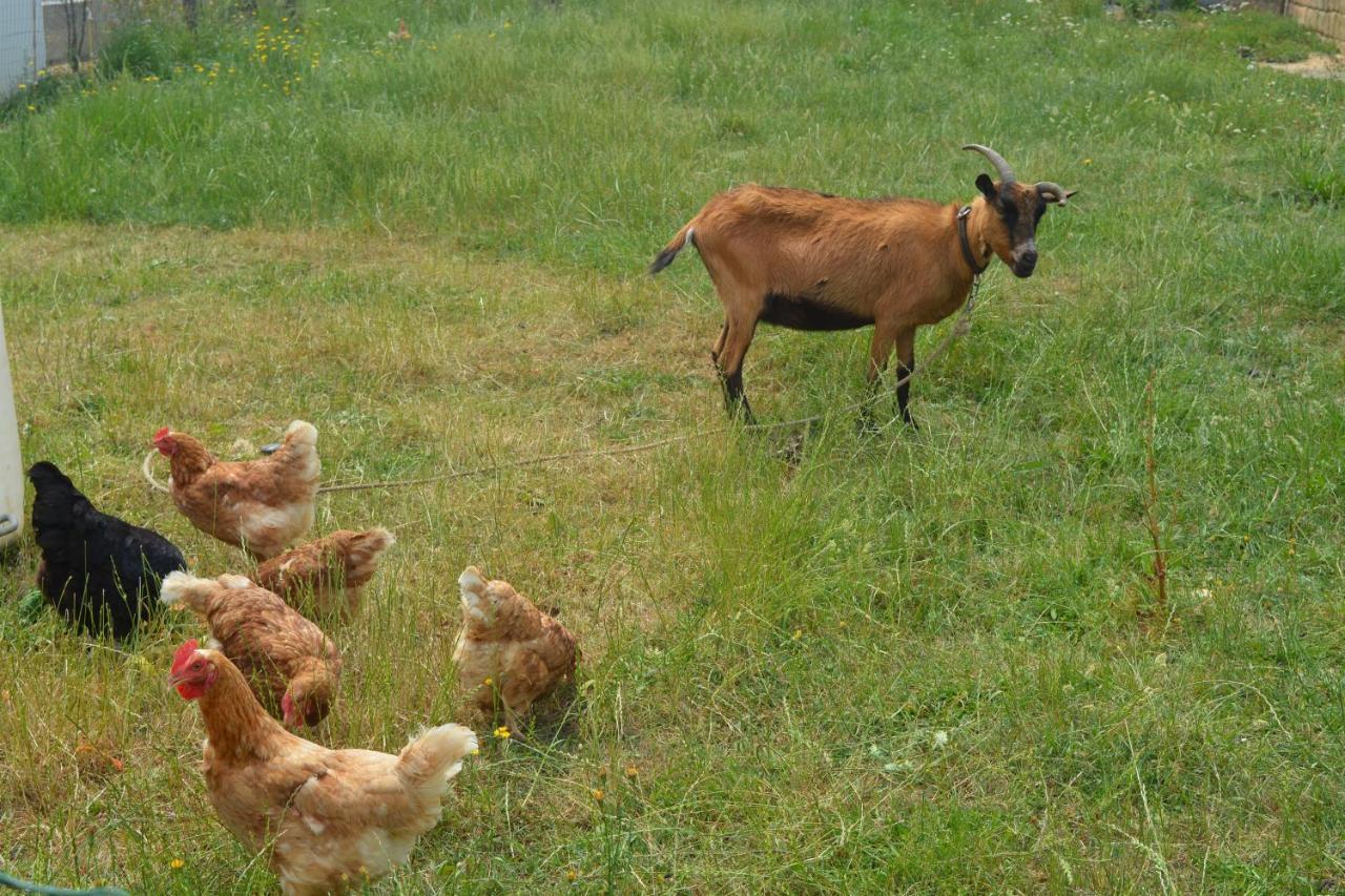 Detente Et Confort - Gite Baie Bocage Sartilly-Baie-Bocage Dış mekan fotoğraf